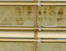 swatch sample of New Guinea Camel