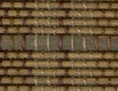 swatch sample of Samoa Umber