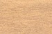 Pecan