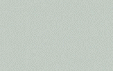 Squirrel Gray