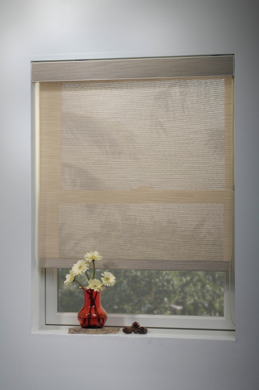 Roller Shades Groover Valance, Ace Fast Wood Blinds