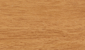 Oak
