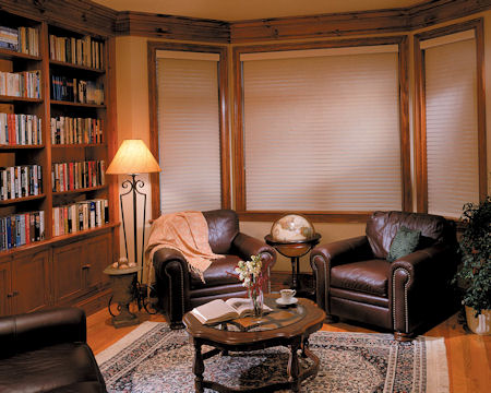 Florentine Window Shadings in a wonderful room setting