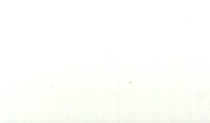 Bright White