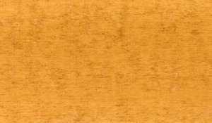 Golden Oak