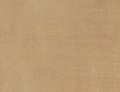 Dupion Silk Baroda