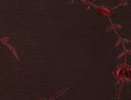 Shanghai Rouge