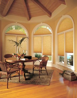 Hunter Douglas cellular shades