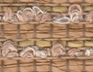 swatch sample of Drexel Hill Toast