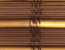 swatch sample of Mongolia Herb