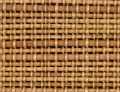 Beachview Pecan