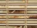 Lacquerd Imperial Shell Petite