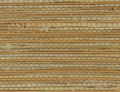 Madeira Wheat