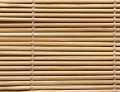 Matchstick Autumn