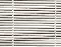 Matchstick White