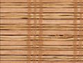 Shelter Pecan