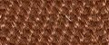 Pecan