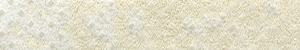 Shell Grandesa FAB118G