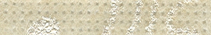 Shell Splendor FAB118S
