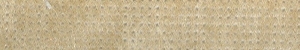 Wheat FAB104
