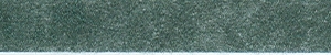 Winter Pine F8-572