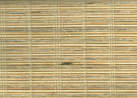 swatch of Windswept