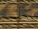 swatch sample of Papua