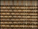 swatch sample of Samoa Umber