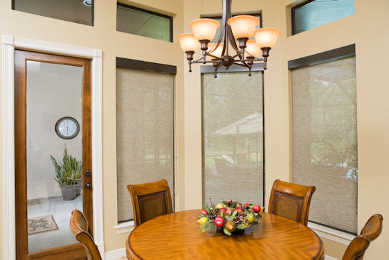 photograph of roller shades in a relaxed setting