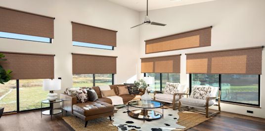 photograph of Draper FlexStyle roller shades in a relaxed setting