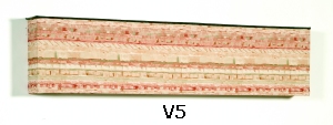 Style V5